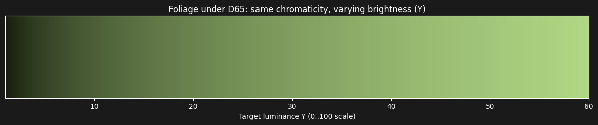 Different brightness levels for the same chroma
